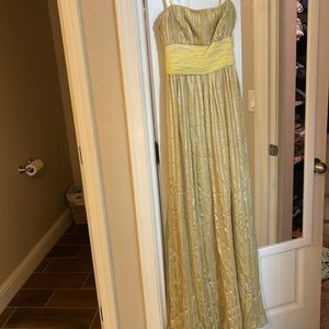 Bcbg women’s gown